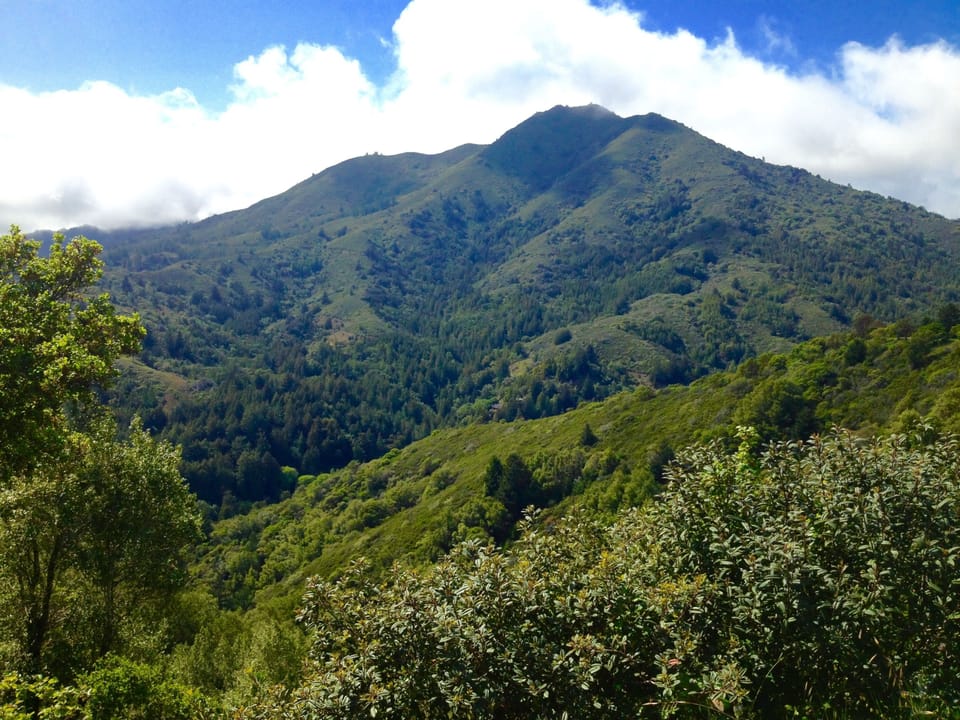 Mt Tamalpais 