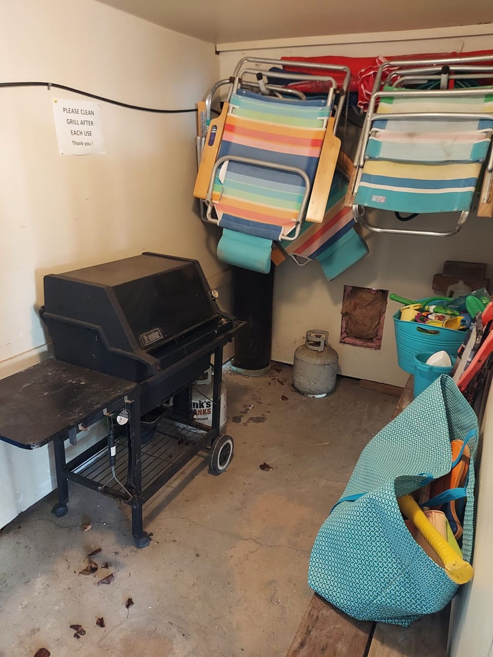 Store room and Weber gas grill