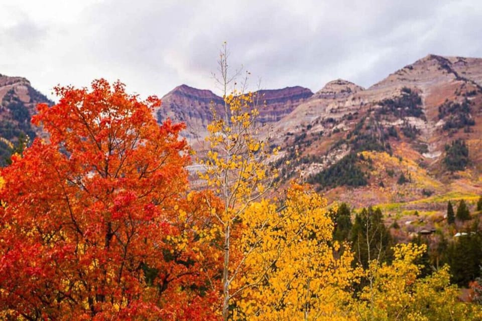 Fall colors on Mount Timpanogos