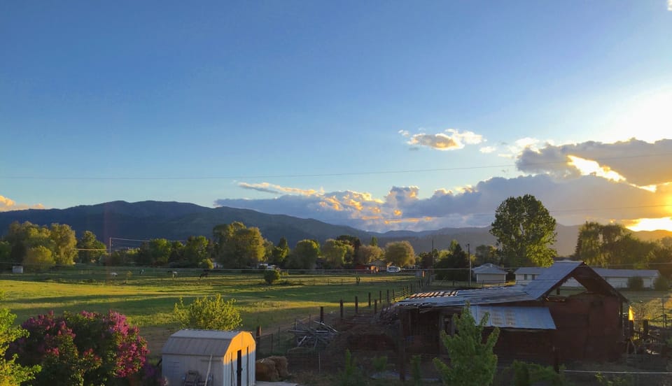 View from back windows