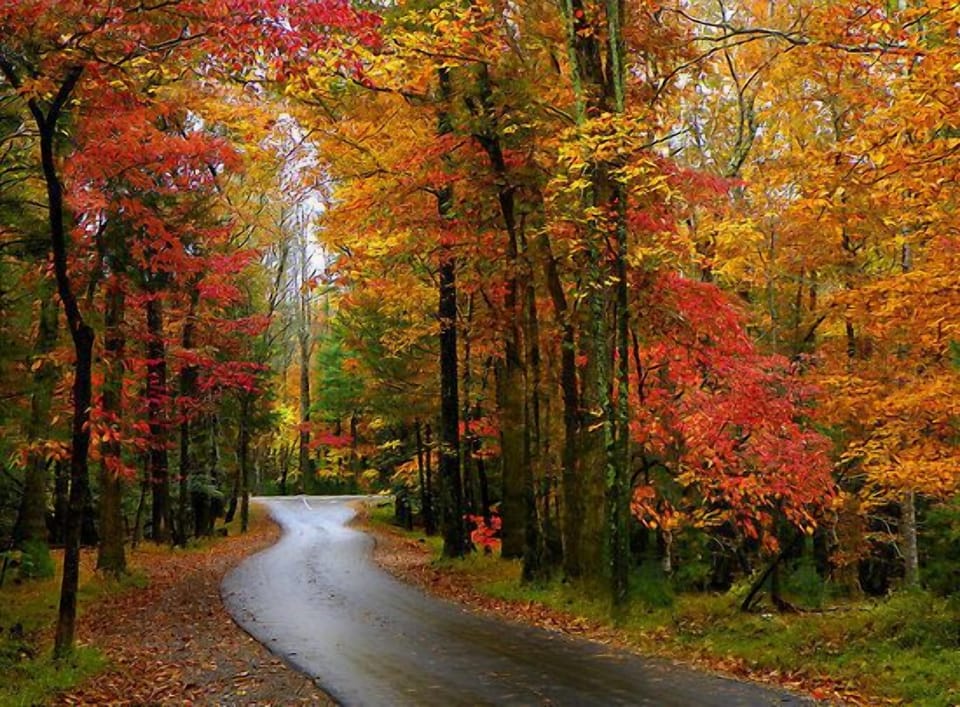 Roads to the Smokies in the Fall. 