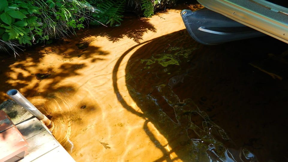 The sand bottom and clarity of our shoreline