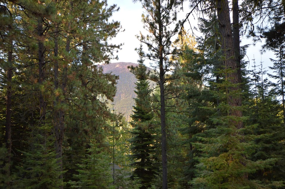 Beautiful peek-a-boo view of Black Butte from the decks.