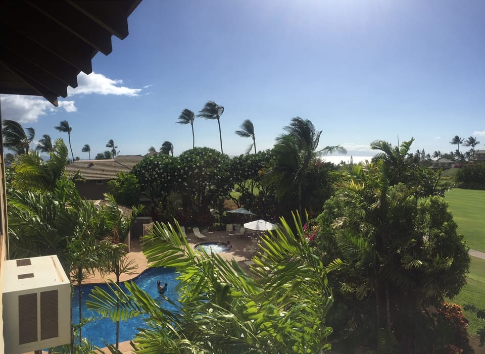 Close to the swimming pool with Jacuzzi and BBQs 