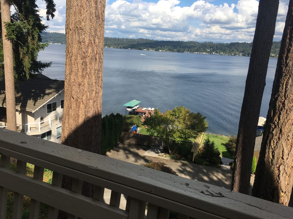 looking down from deck at our lakefront

