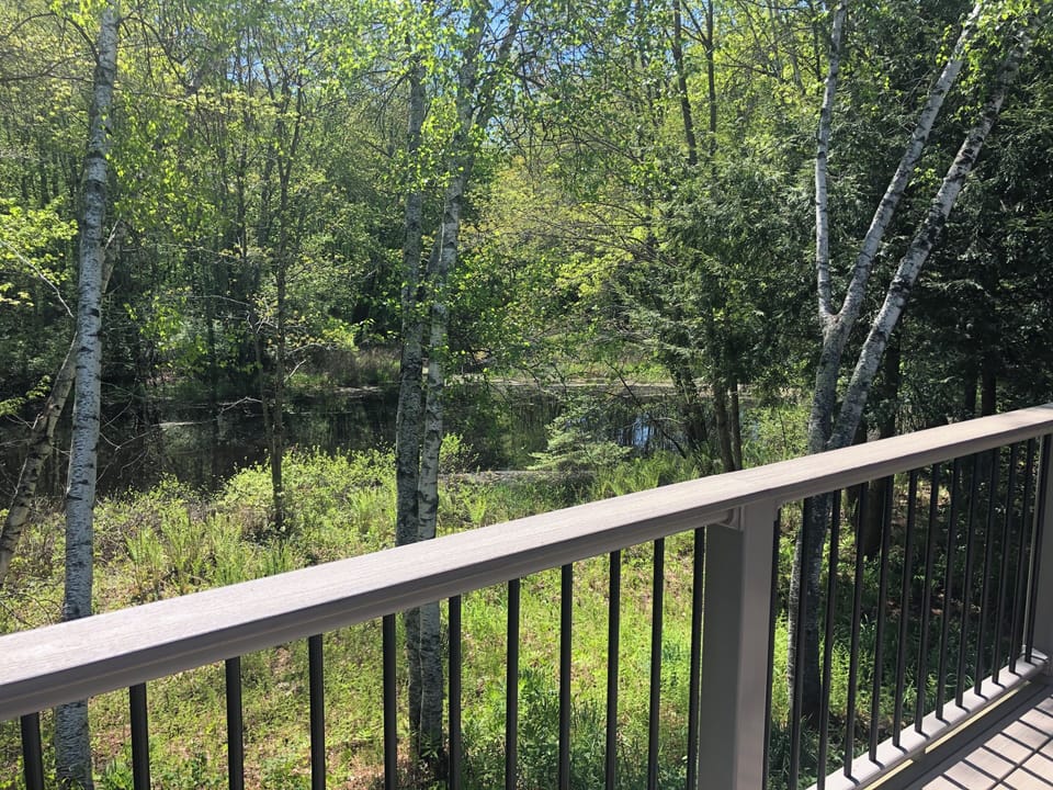 View from deck of Fowler river