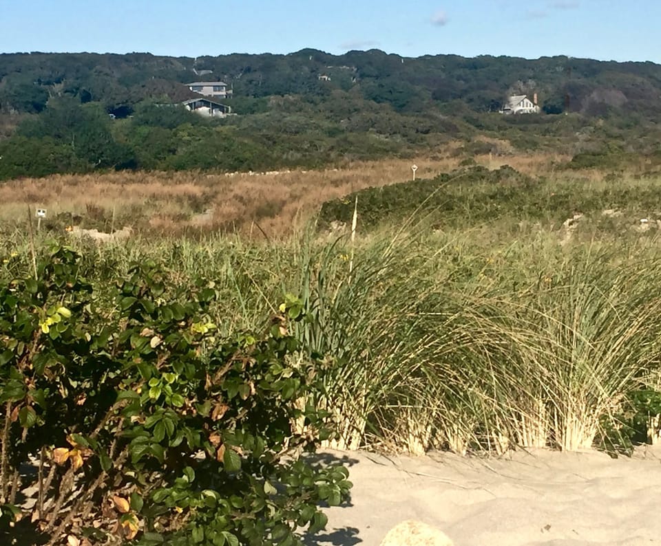 House from the beach, upper left.