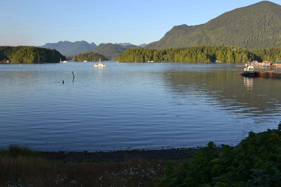 The view from our deck at high tide.