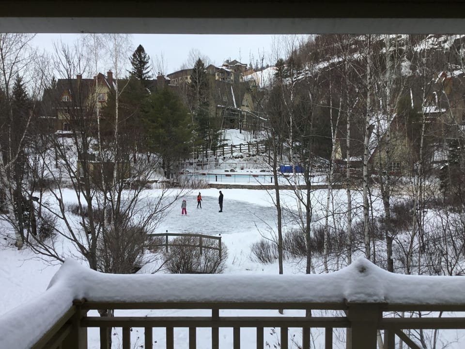 Skating rink view from the living room & back balcony. Fun both day and night! 