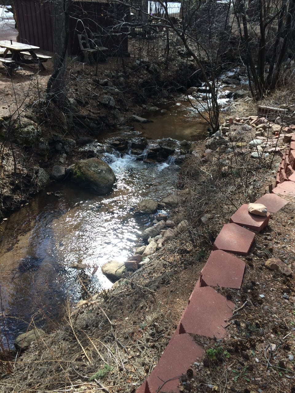 The creek view from sitting room windows
