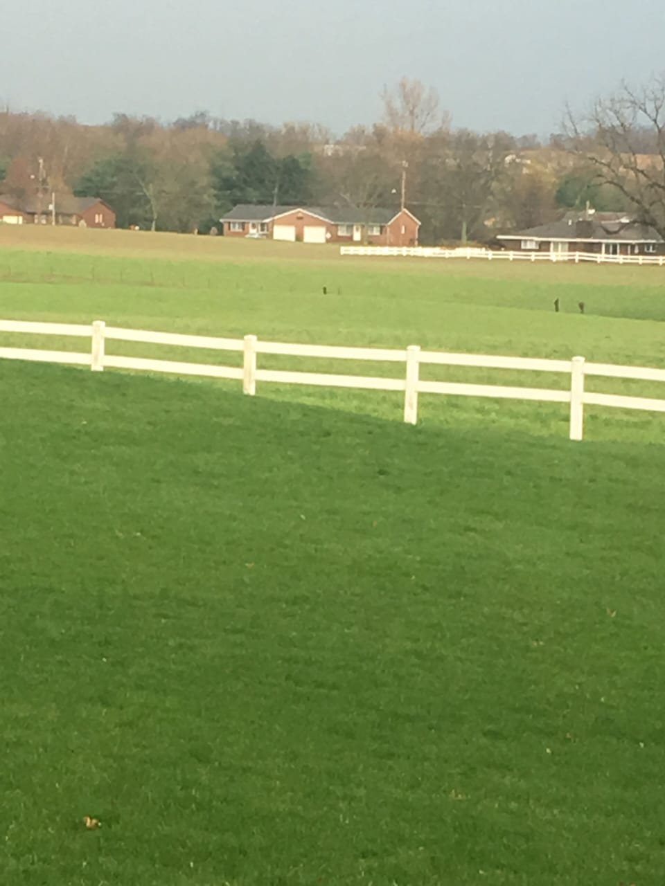 View across the fields, of our duplex home, from the Kidron Park
