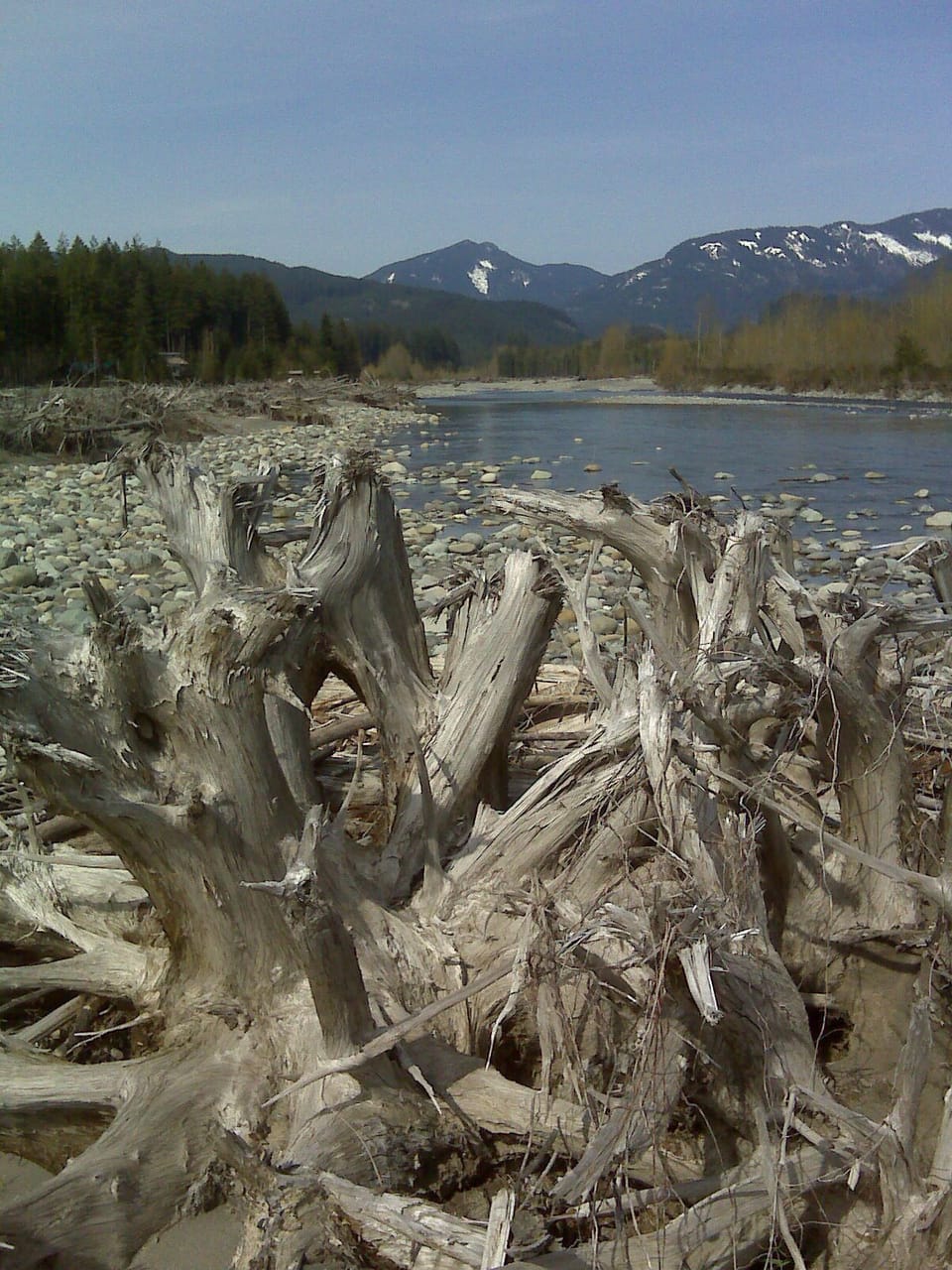 Cowlitz River