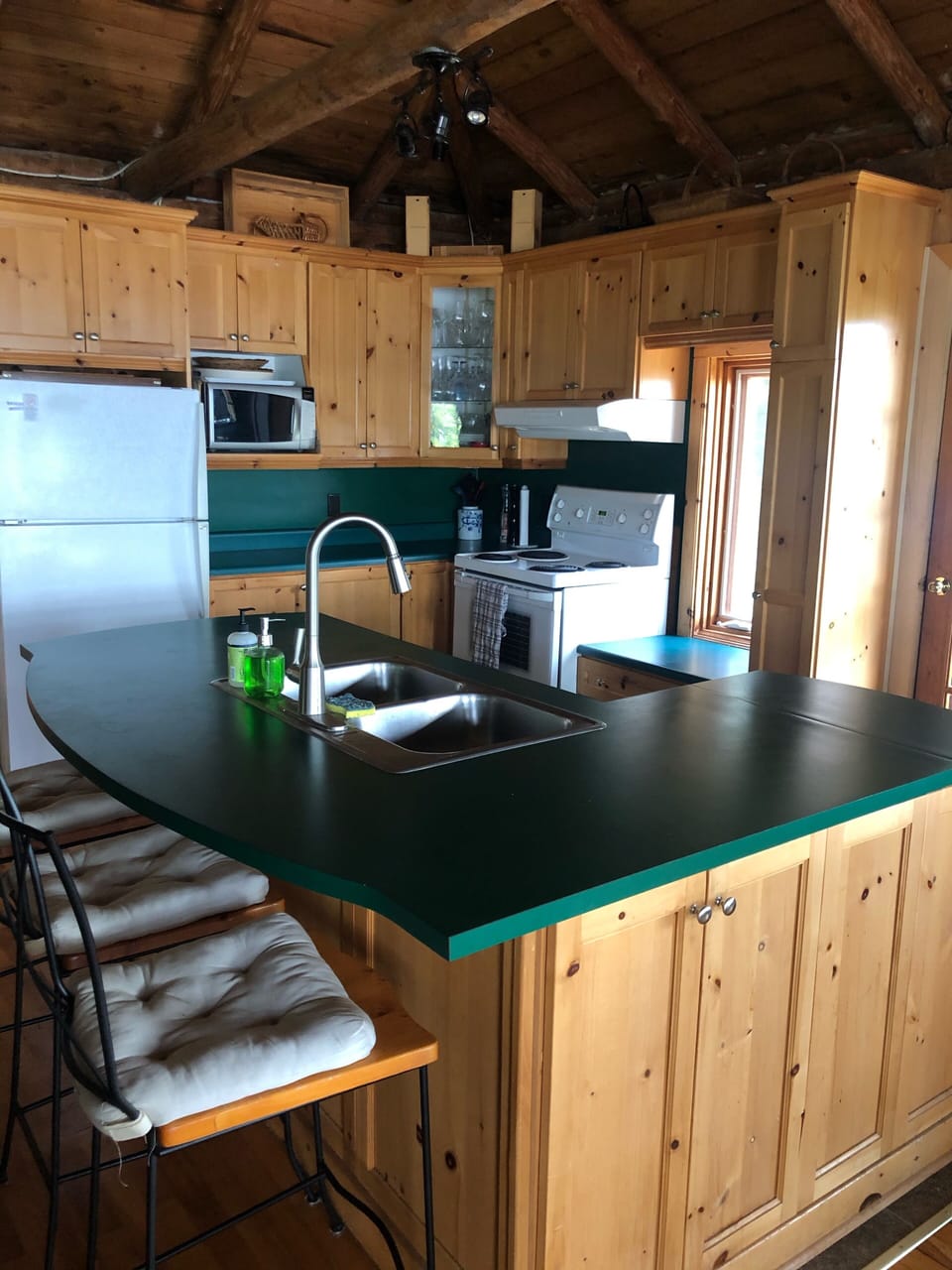 Kitchen (frig, stove, microwave & dishwasher); 2nd red retro frig (out of view)