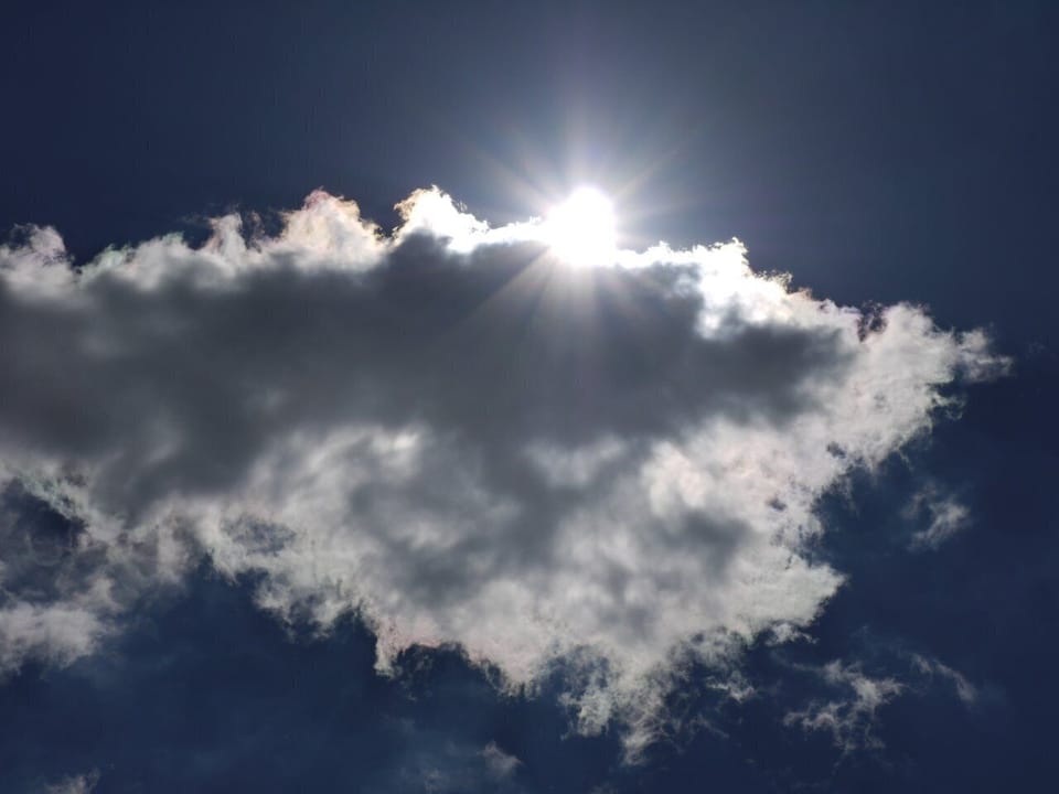 Beautiful Carolina sunshine!