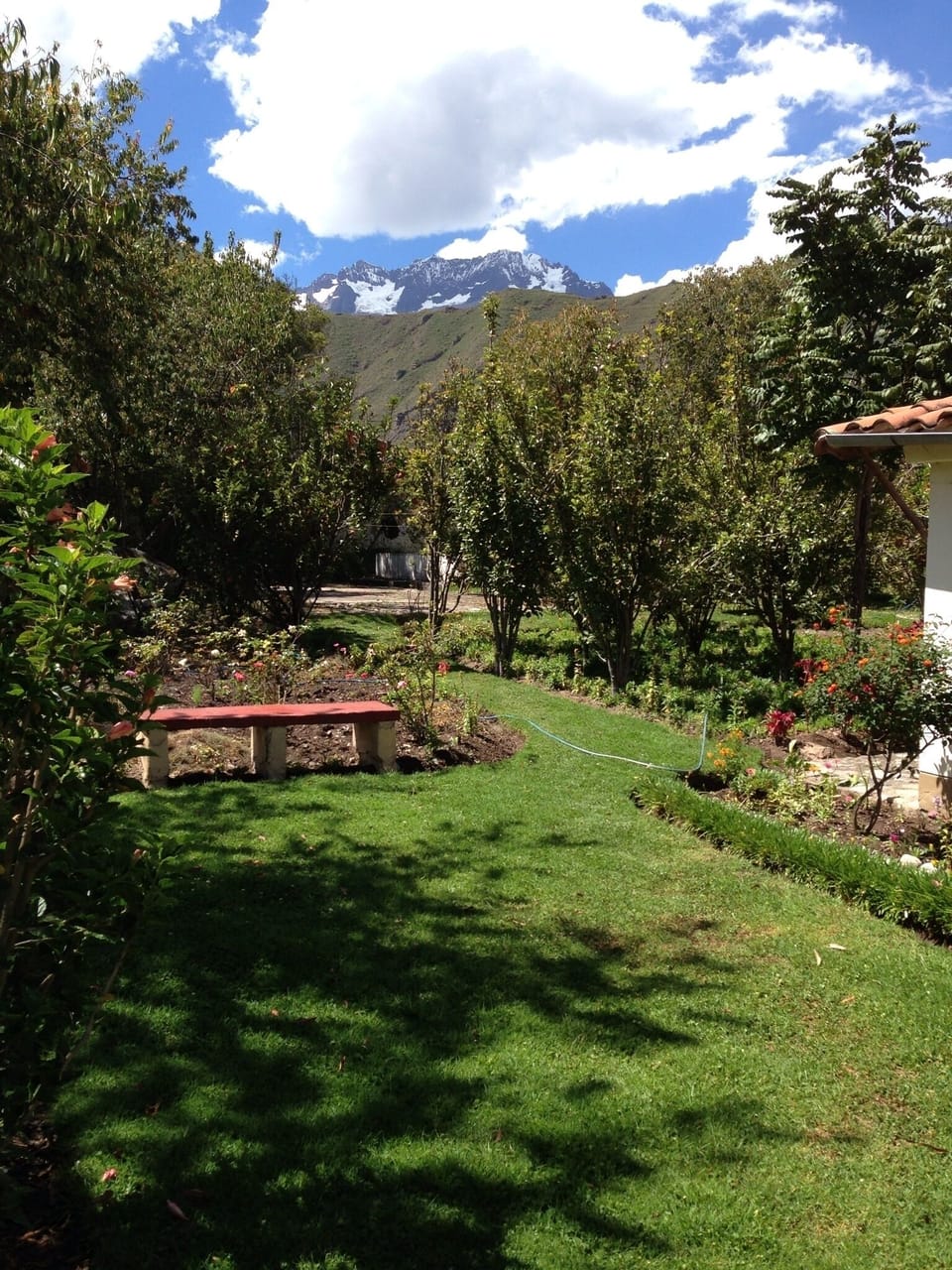 View of gardens and mountains from front yard. 