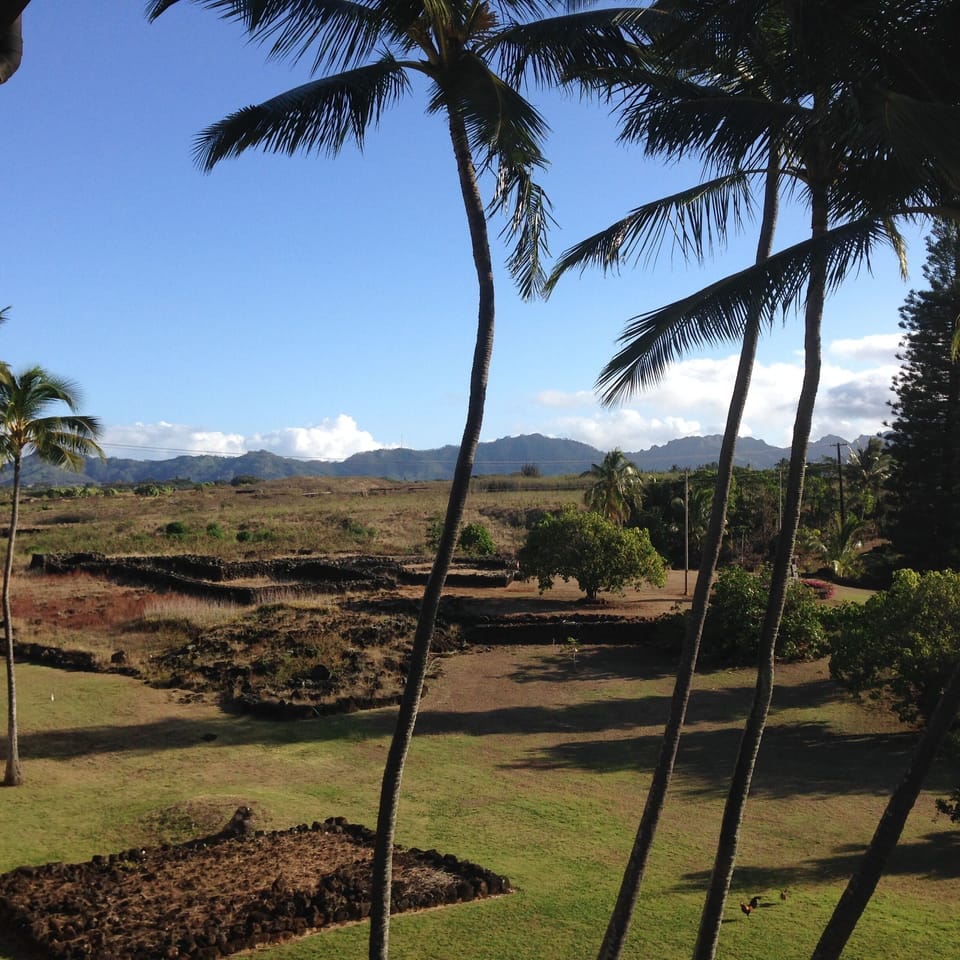 Park and mountain view from Lanai