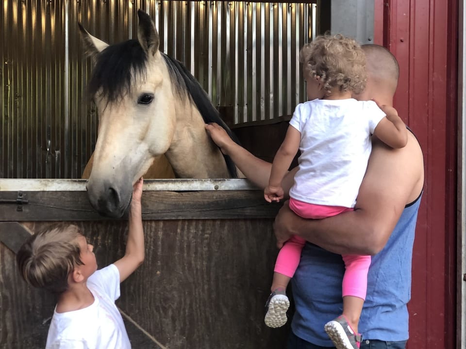 A horse petting area at the barn. Our guests giving Joy Dunn some love