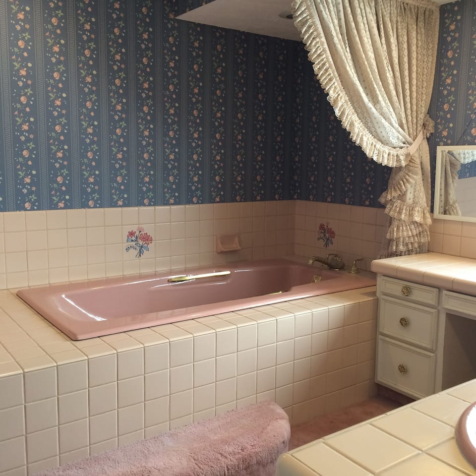 Master bath tub (separate shower)