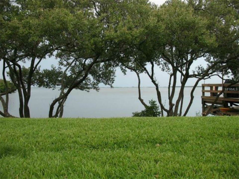 Mangrove Trees on the Property which adds charm.