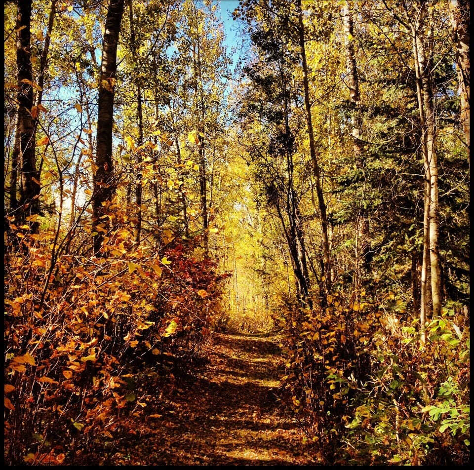 The property has kms of marked trails for hiking, biking, skiiing and snowshoein