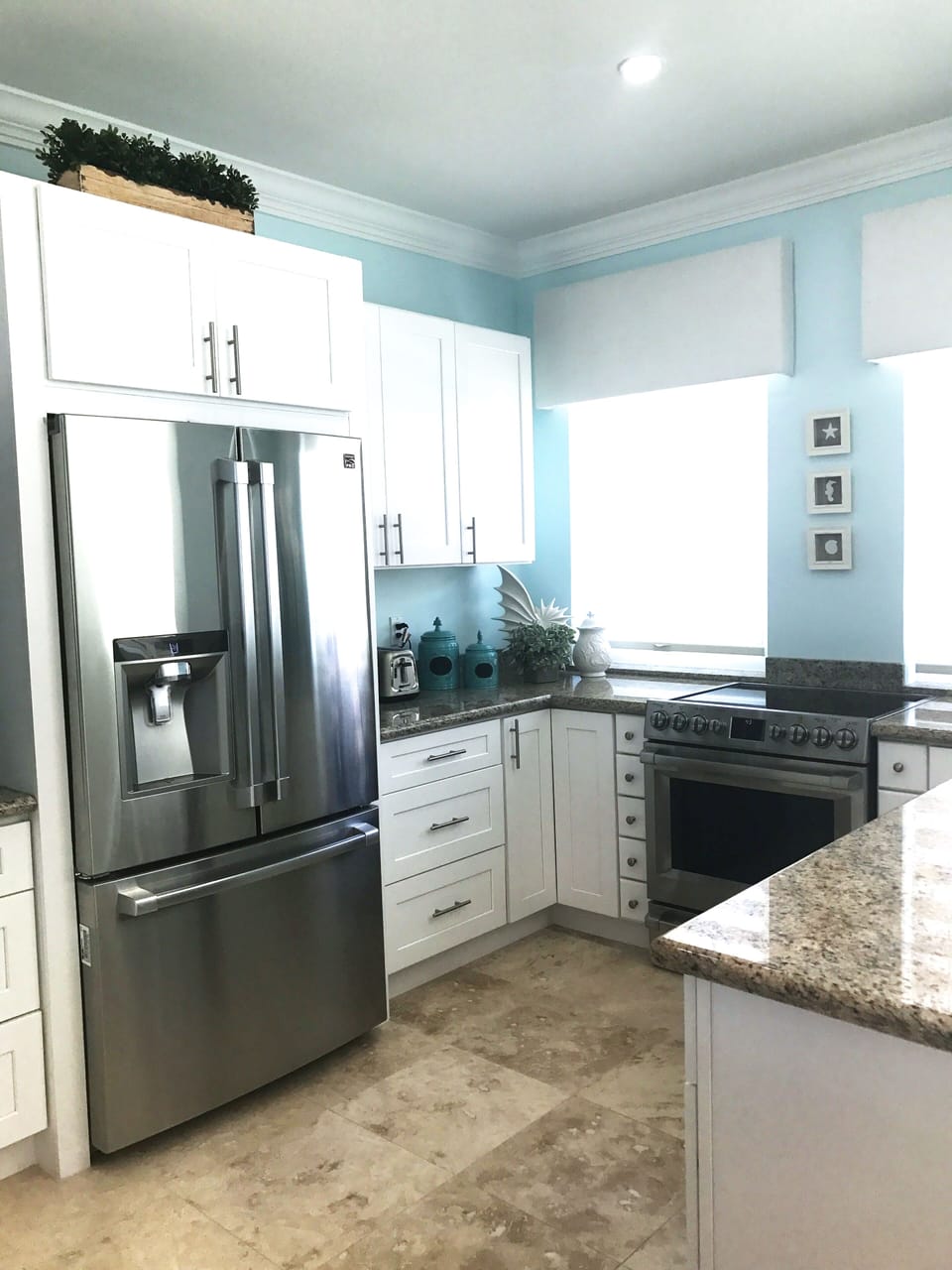Top of the line Pro Appliances