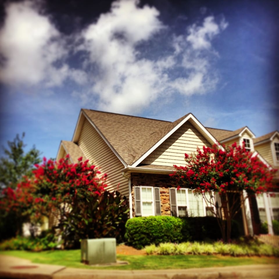 High Point Condo in full bloom.