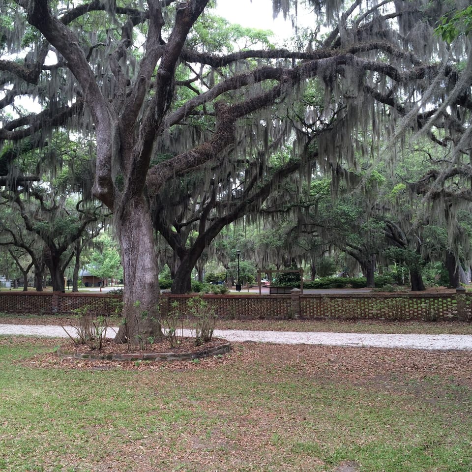 View of park next door from front of house.