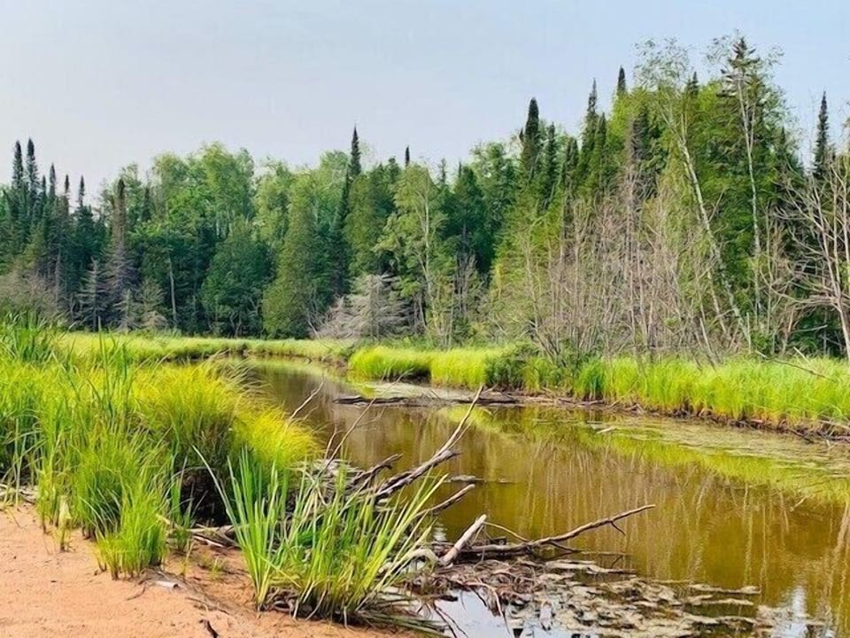 Creek on the property from the lake