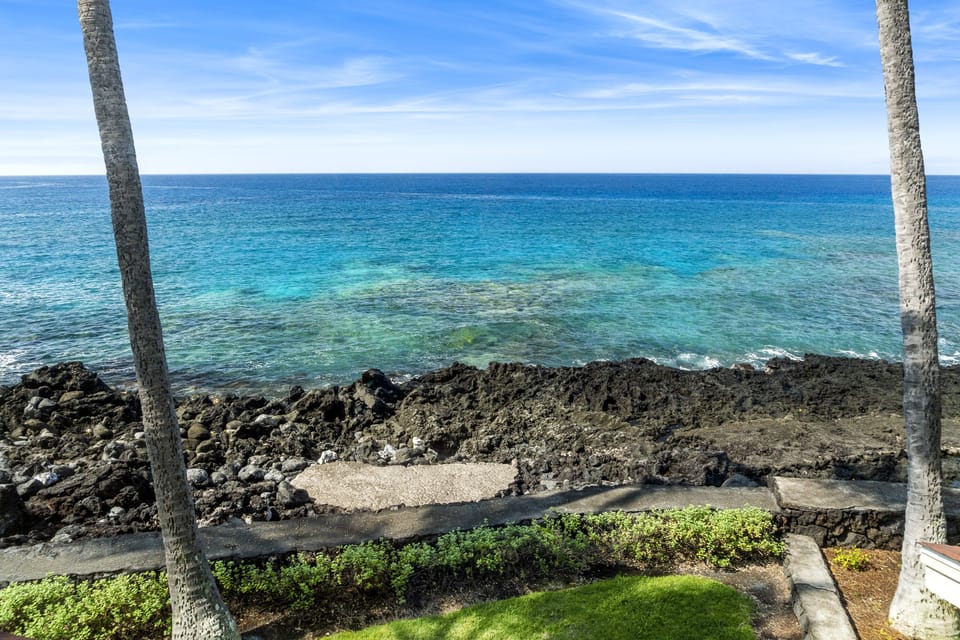 View directly off the back yard/lanai.