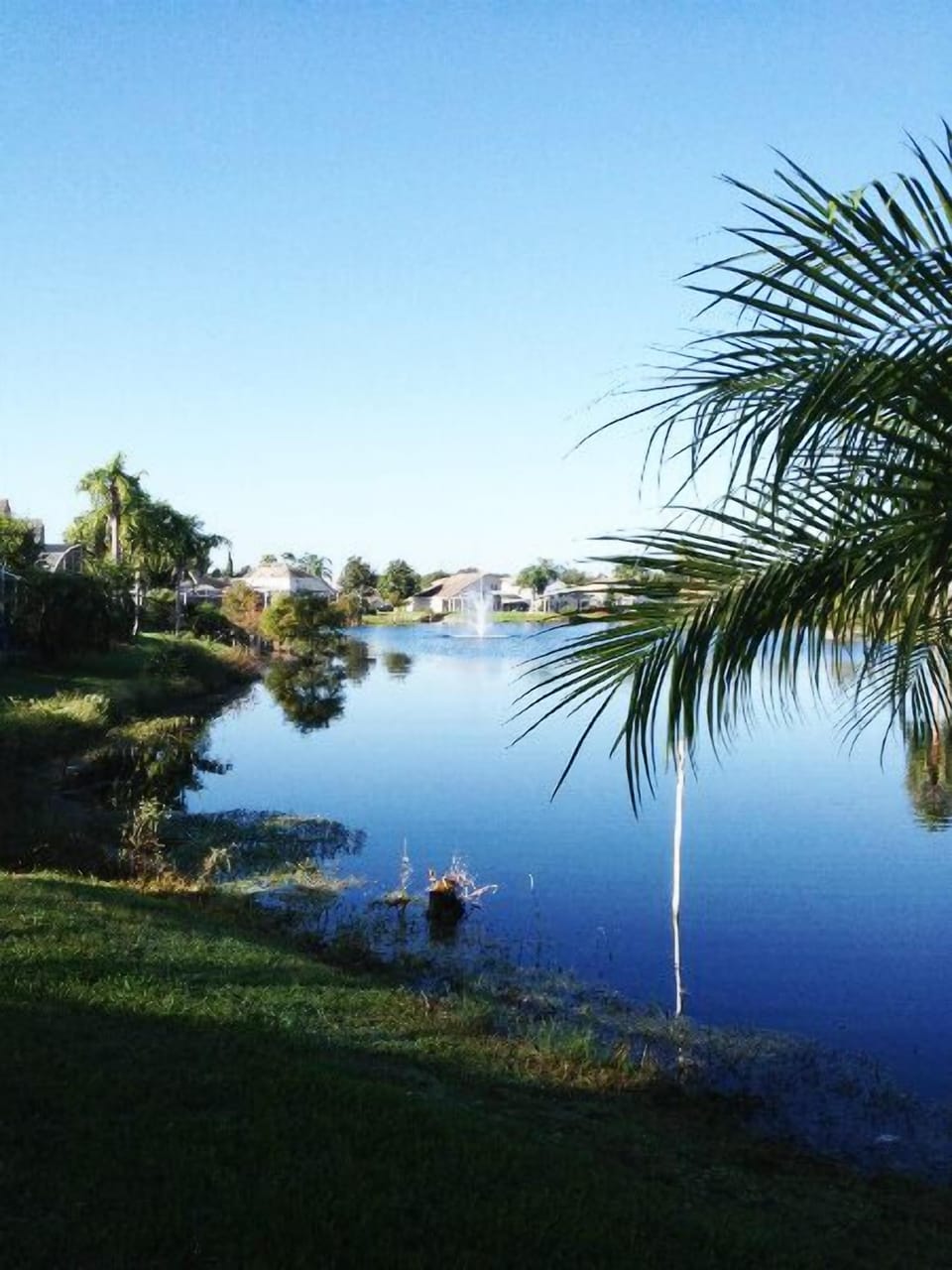 Our magnificent lake