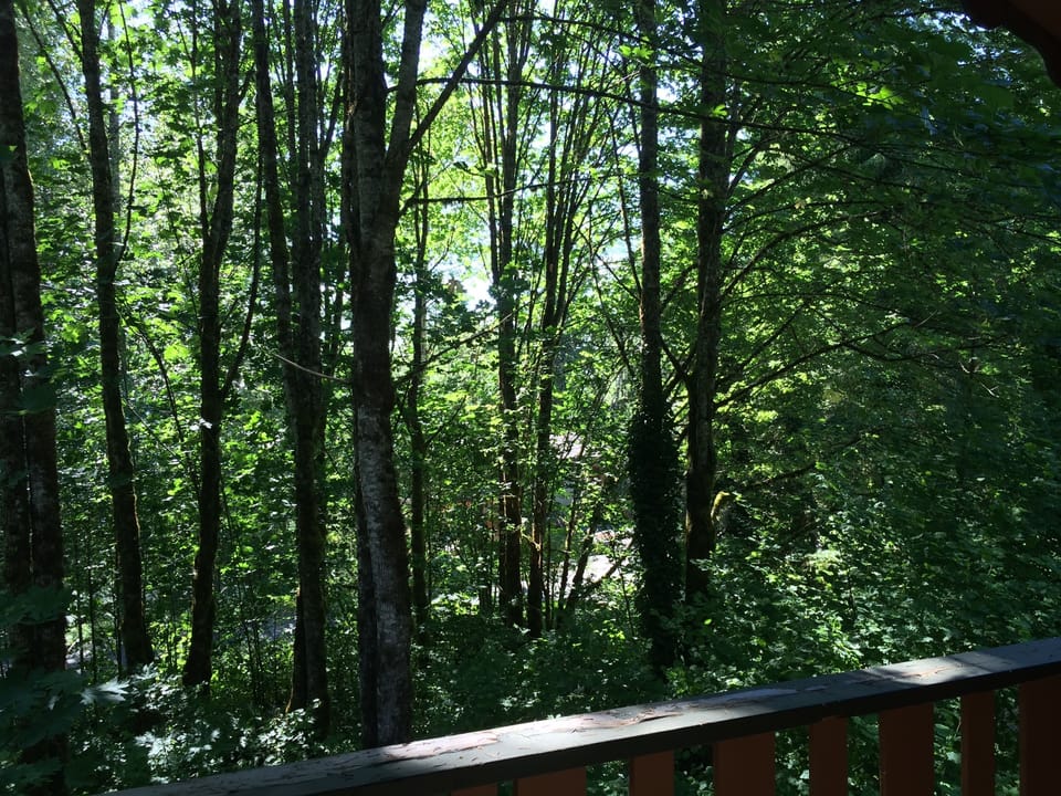 View from the front deck
