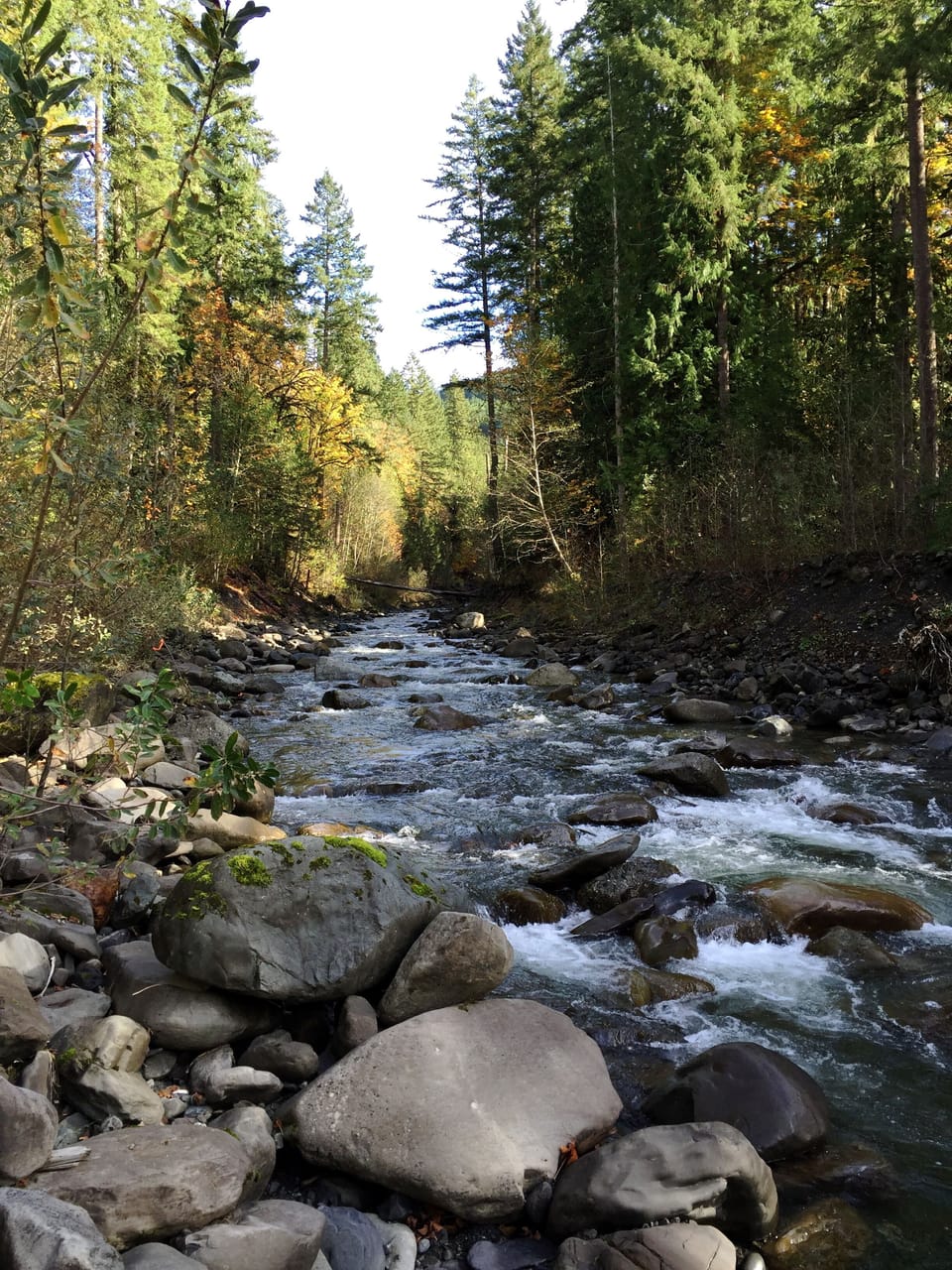 Canyon Creek