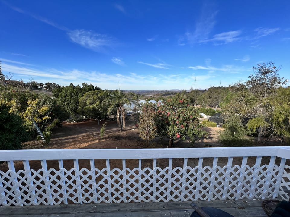 Gorgeous views from the deck