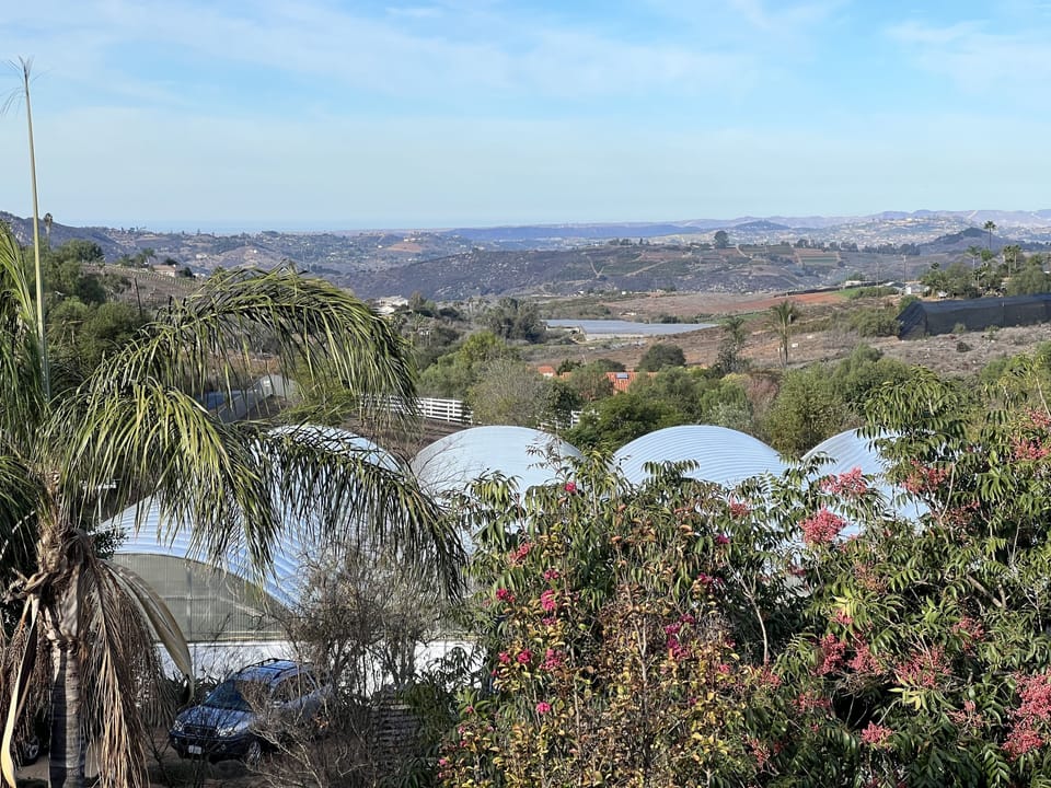 Views from the balcony of our organic farm. 