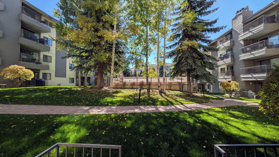 View from patio