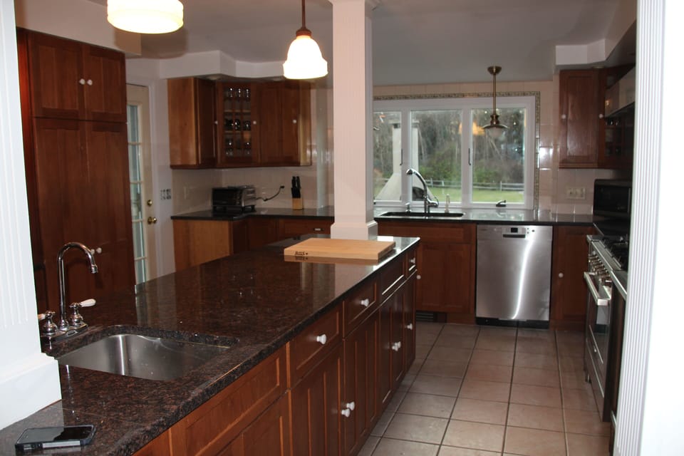 Gourmet kitchen looks out to back yard