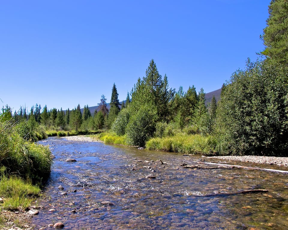 Rocky Mountain National Park; 35 miles from condo 