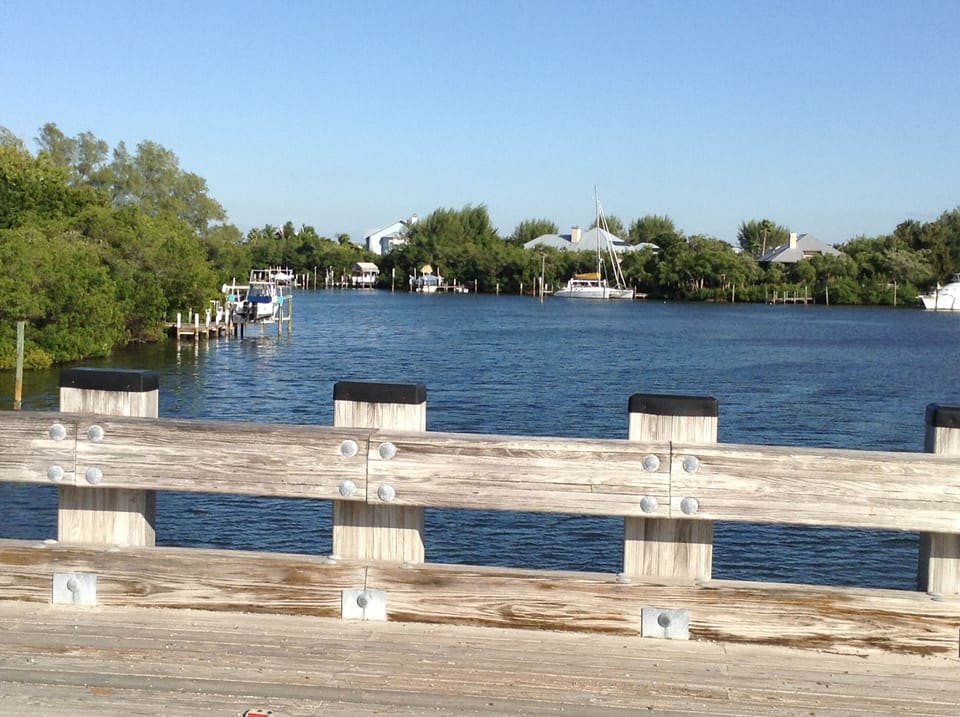 View from wooden bridge