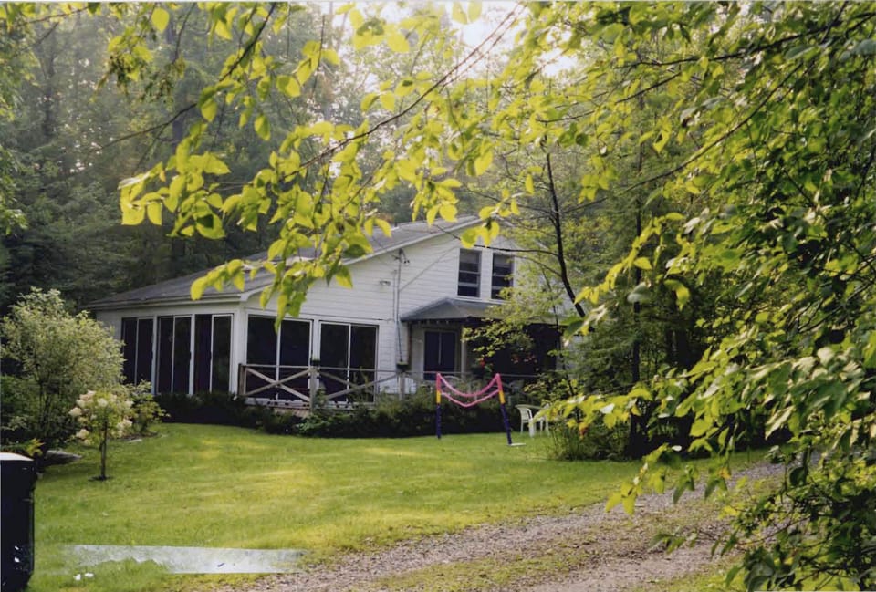 Our private road and spacious yard.