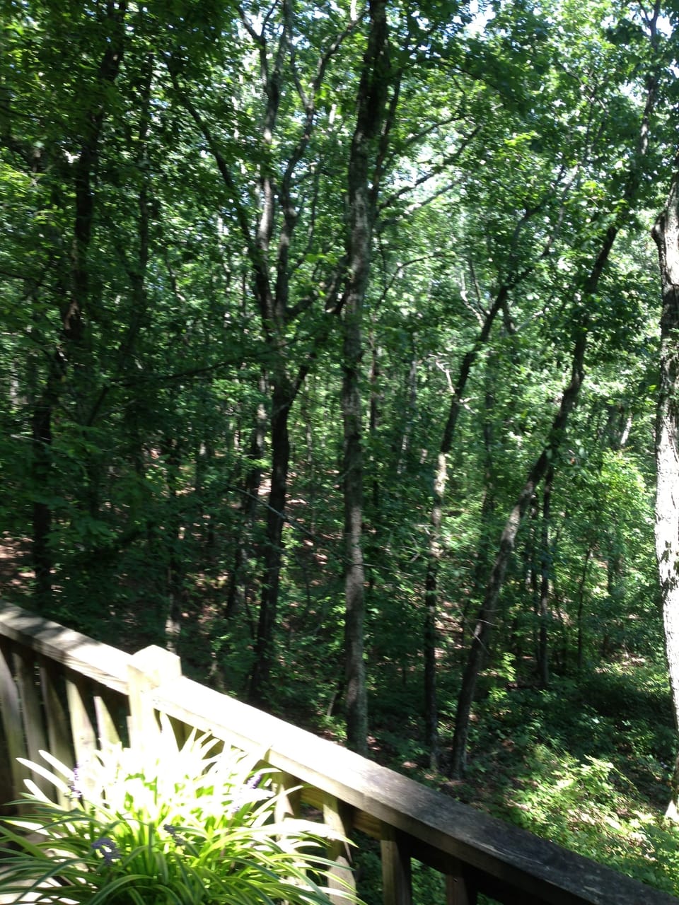 View from Side Deck