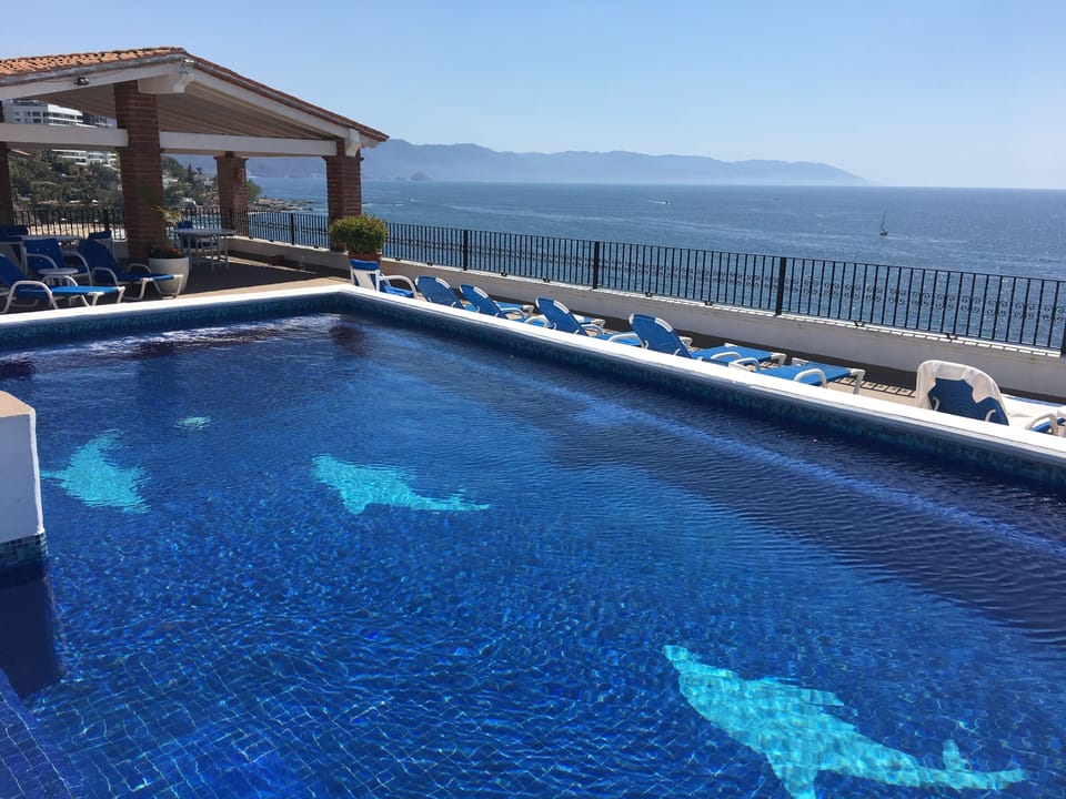 Pool facing South