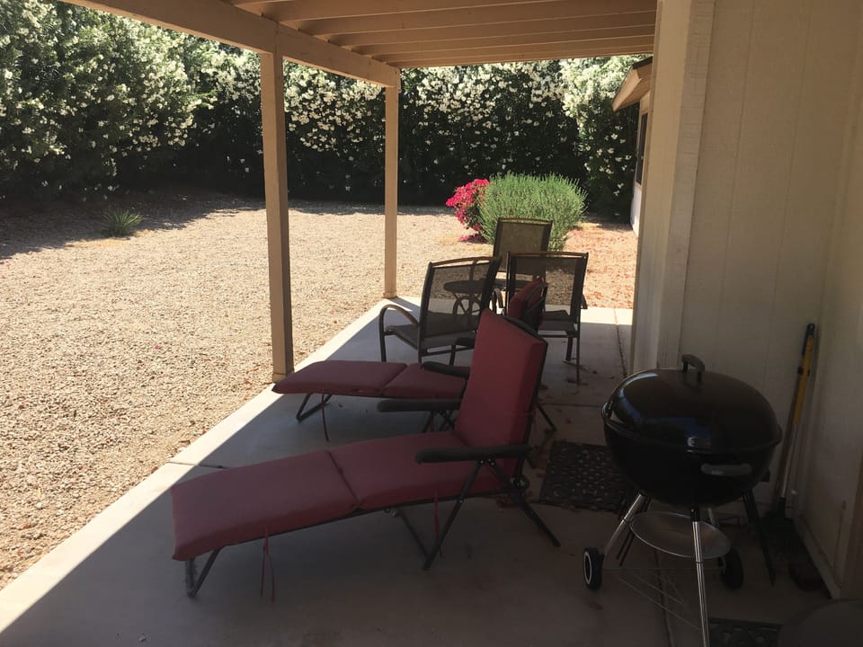 back yard and porch with grill