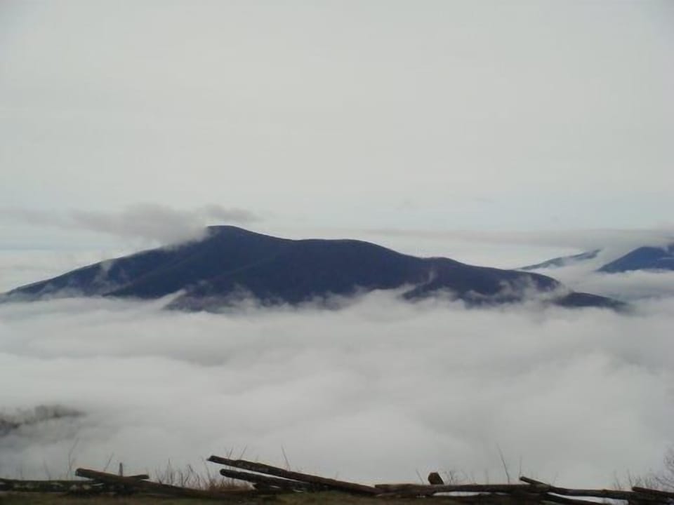 Early Morning Fog on the Scenic Overlook down the street from our house.