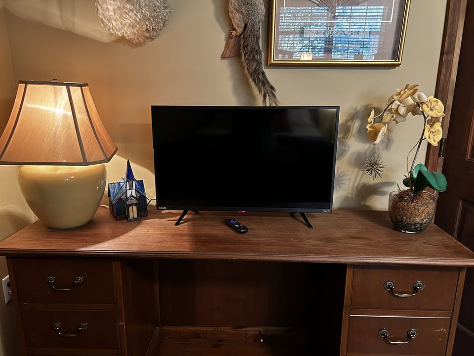 Roku TV in second bedroom