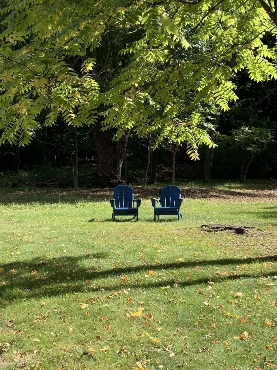 Side yard