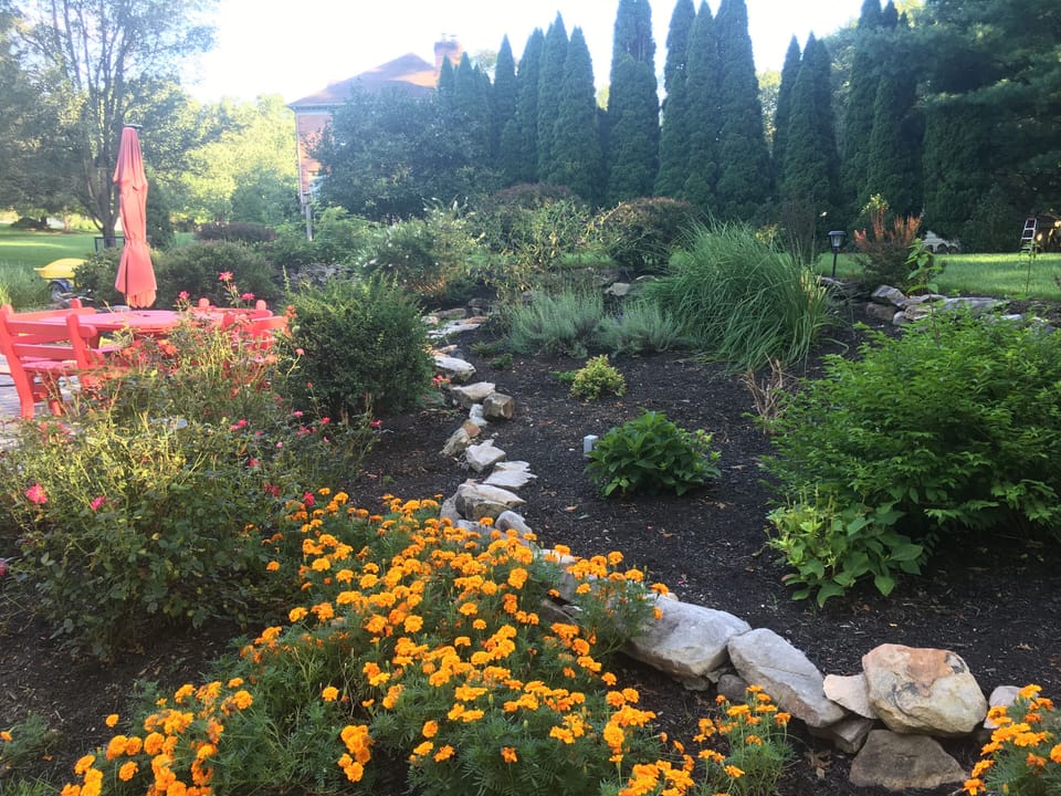 Our backyard follow garden