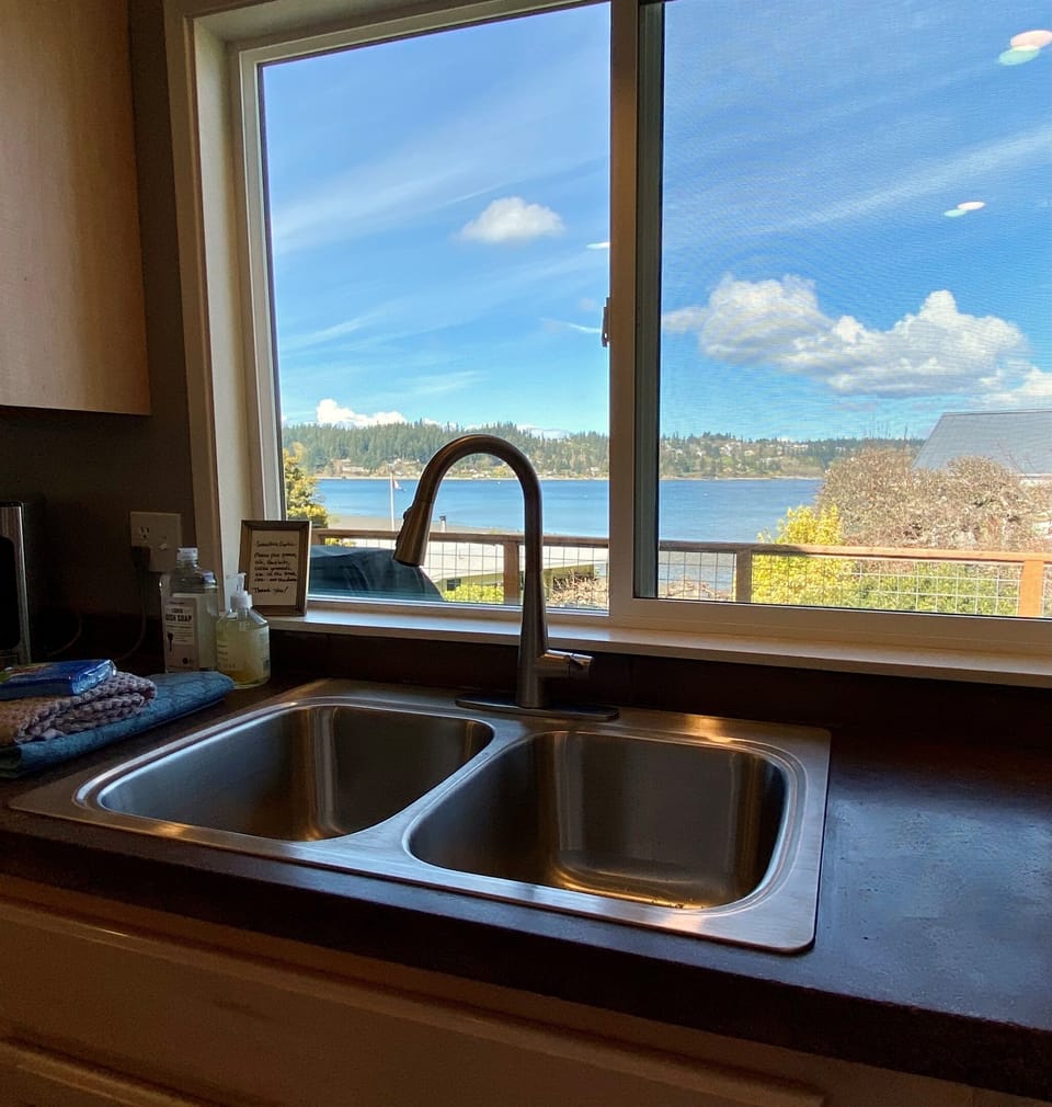Kitchen sink with a view.