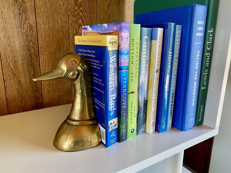 Books, games, puzzles and WiFi.