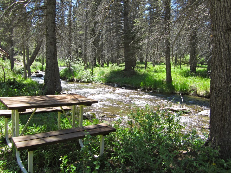 Hundreds of feet of private river frontage. Picnic, hike, fish out back door.