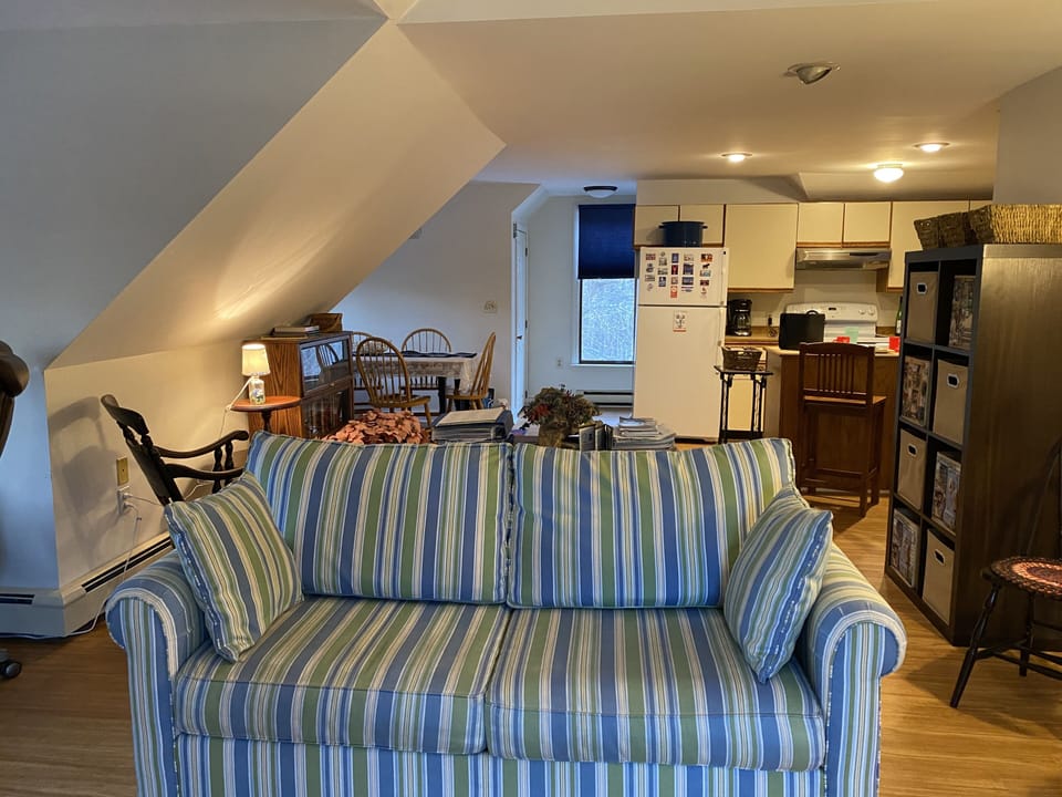 The Living Area with colorful pull-out couch to Full bed
